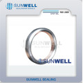 Bx Ring Joint Dichtungen Sunwell 830